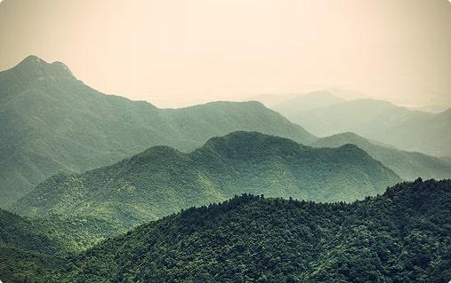 Rolly Receipts / Wordpress